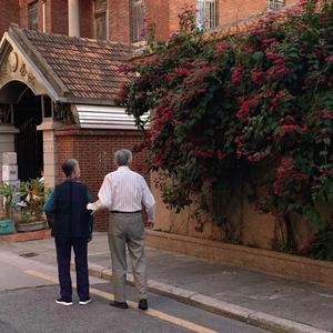 我看免费的黄色片美国的
