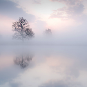 我看免费的黄色片美国的
